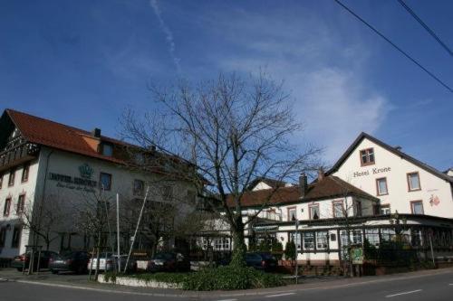 Hotel Krone 贝河畔的海尔斯伯格 外观 照片